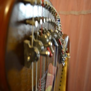 experience associative choupboss harpe experience associative choupboss harpe