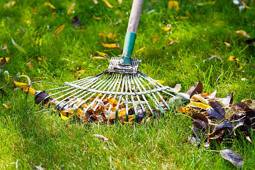 sensibiliser à la pauvreté des jeunes service jardin chouponline