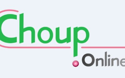 Choisir un nom pour une entreprise Chouponline