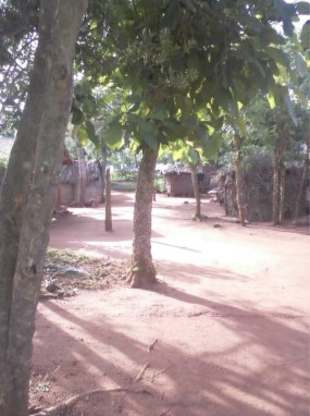 l'eau au bénin puits aménagé puits non-aménagés kpodonou chouponline route d'acces l'eau au benin puits aménagés puits non aménagé kposodo chouponline route d'acces au village