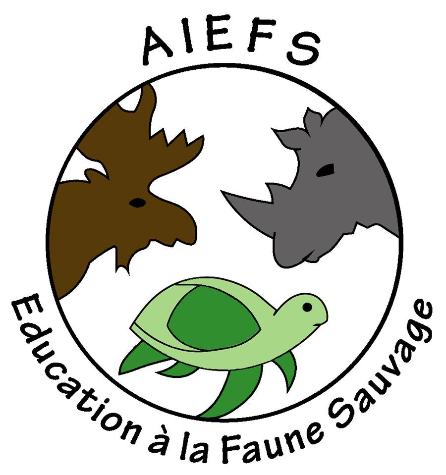 membres de la communauté de choup.online
