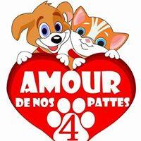 membres de la communauté de choup.online