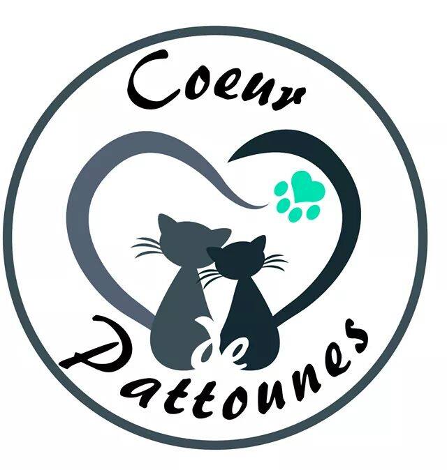 membres de la communauté de choup.online