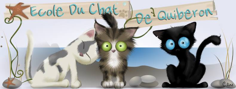 membres de la communauté de choup.online