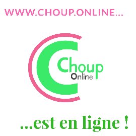 9 communauté choupy site chouponline