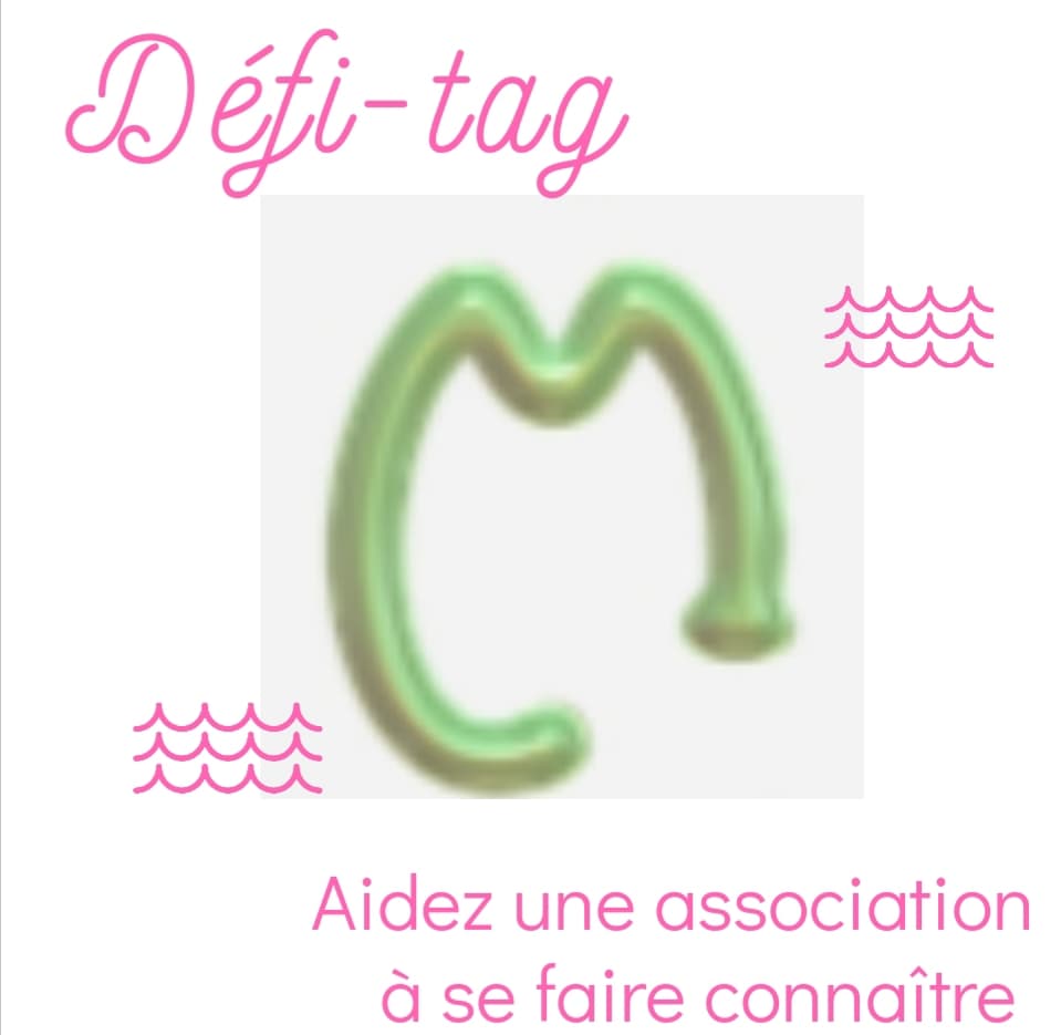 detourner un challenge instagram chouponline defi tag