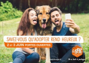 Manque de communication en association canine chouponline adopter rend heureux