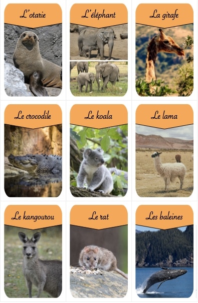 défendre une cause en créant un jeu de société chouponline carte animaux