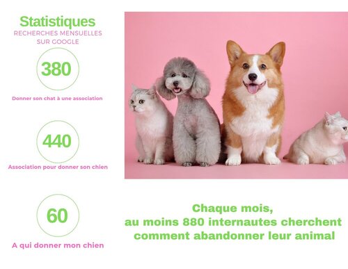 association_animaux_abandonnés_abandon_animaux_de_compagnie_chouponline_infographie_v3