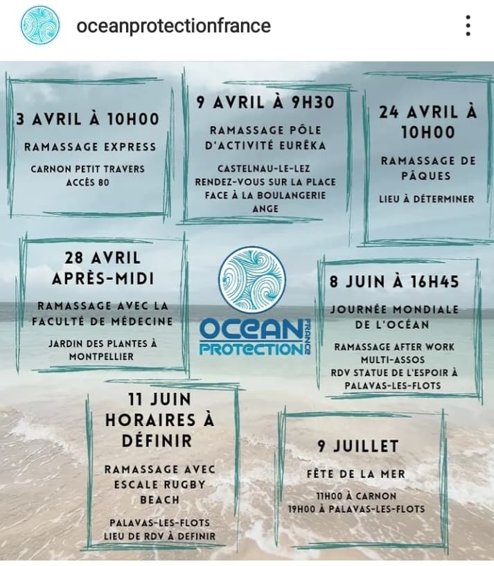 erreur les plus courantes pour affiche chouponline programme de l'ete