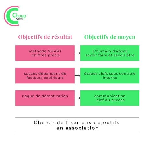 se fixer des objectifs dans une association chouponline résumé 